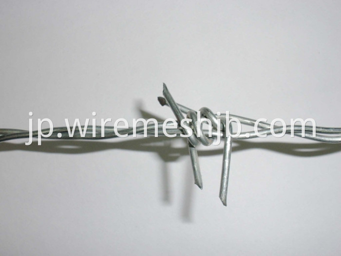 Barbed Wire Fencing